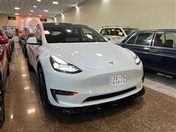 تێسلا مۆدێلی Y